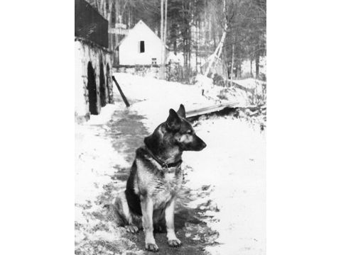 Foto 13